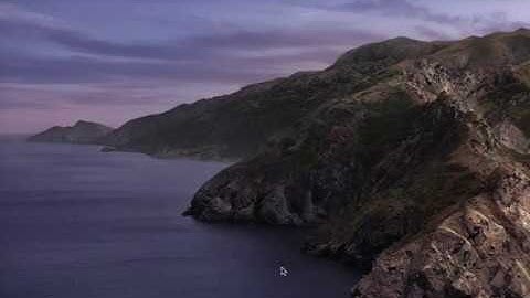 Apple Preview Adobe Reader Bug using OS Catalina