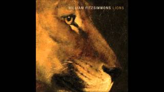 Video thumbnail of "William Fitzsimmons -- Took (Lions 2014)"