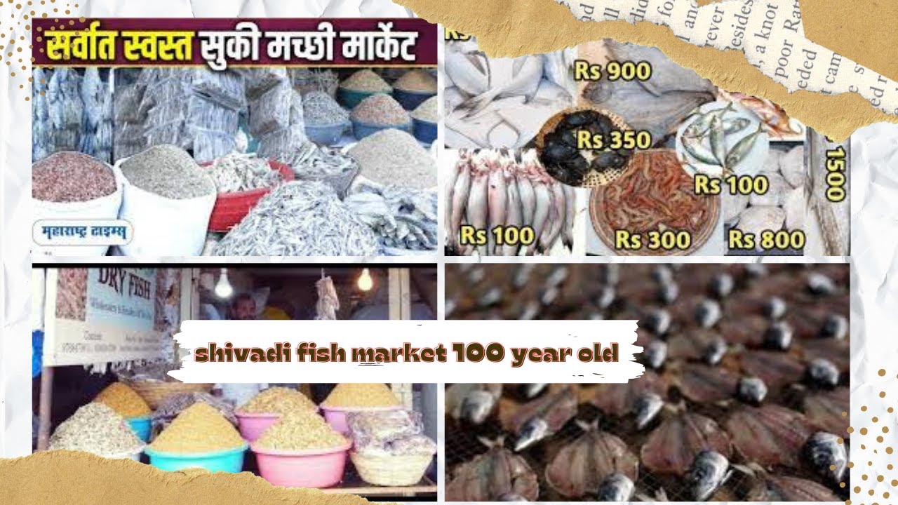 Sewri Dry Fish Market पुरे मुंबई मे यही से सुखी मछली जाती है Dry