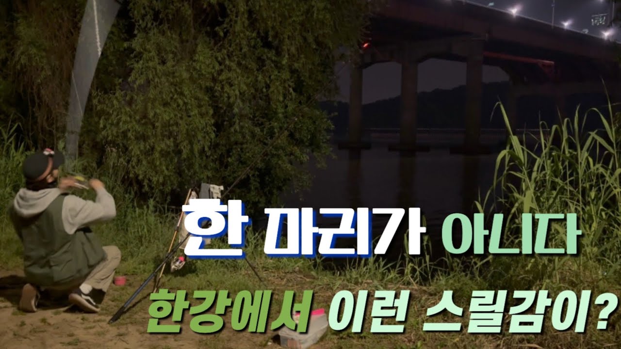 한강에서 이런 스릴감이 !!