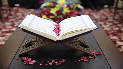 ماهر المعيقلي آخر سورة الفتح