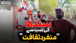 Sindhi History holds Culture, Civilization and Traditions | Discover Pakistan TV screenshot 3