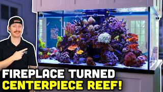 460 Gallons with a 360° VIEW! Big Tank & Full Filtration Room!