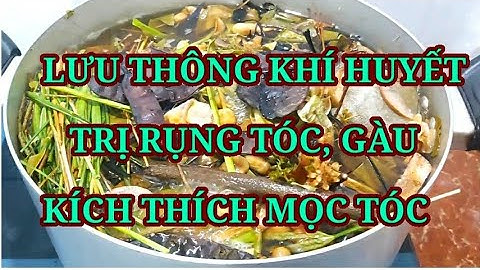Nước gội đầu dưỡng sinh Giảm rụng Kích thích mọc tóc, trị gàu nấm da đầu Lưu thông khí Huyết tại nhà
