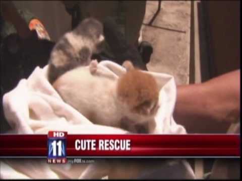 SmART 2009 News footage Edit.mp4
