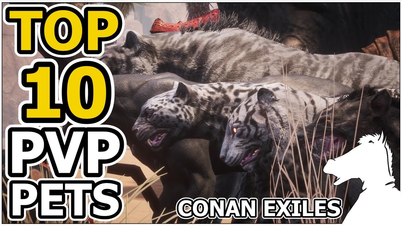 Top 10 PvP Pets | CONAN EXILES - YouTube