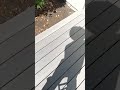 Why You Need To Water Your Deck! #deck #decking #construction