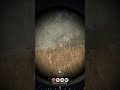 Oh no. #hellletloose #hellletloosegameplay #gaming #gamingvideos