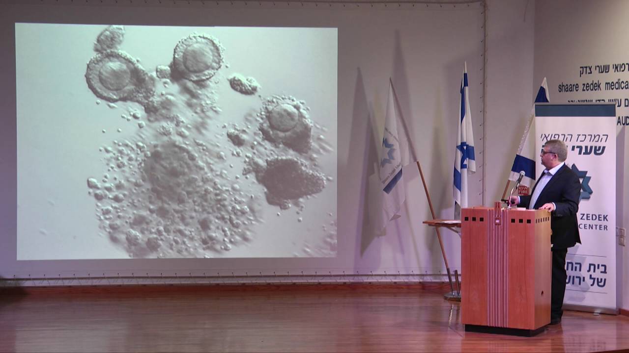 טיפולי פוריות: ממתי, עד מתי ולמה?