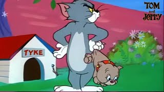 Tops With Pops 1957 Tom And Jerry Cartoon Short Film Review And Recap