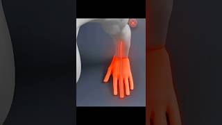 How to do Perfect One Arm Push Ups #shorts #fitness