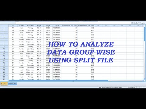 How to Compare Groups in SPSS (Using Split File)