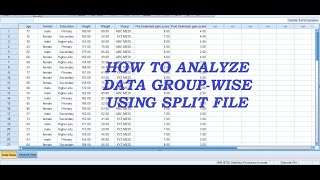 Celebrity How to Compare Groups in SPSS (Using Split File) Profile
