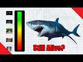 Is The Megalodon Still Alive? (Paleo Myths #4)