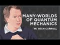 Sean Carroll on the Many-Worlds Interpretation of Quantum Mechanics w/ Luke Robert Mason