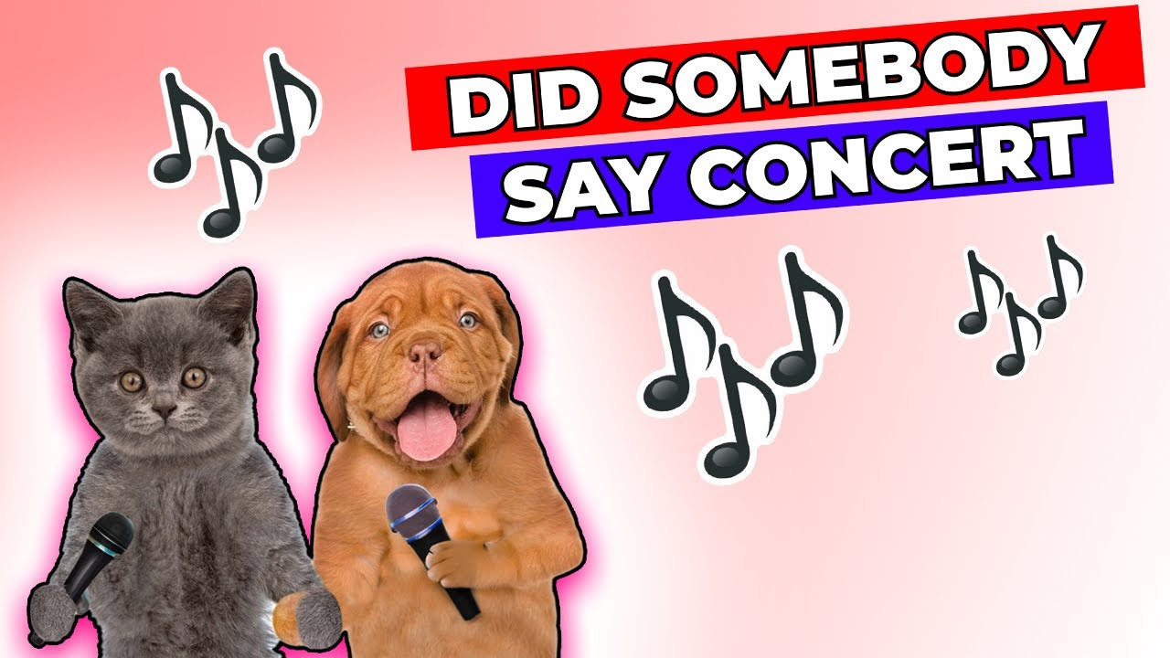 Cats and Dogs Show Off Their Vocals Hilarious Singing Moments! YouTube