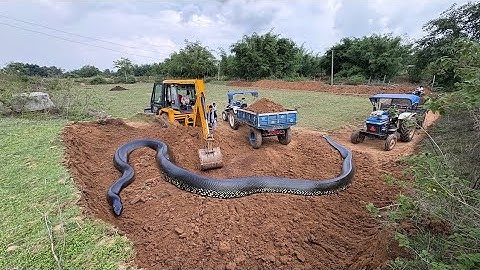 JCB 3dx loading mud in Powertrac 434 plus and Sonalika with Mahindra 434 tractor Tripples Tractors