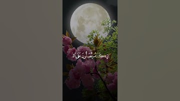 القارئ | علاء المزجاجي