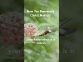 How You Represent Christ Matters