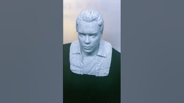 3D print creating a bust shape based on your photo #3d #3dbust #bust