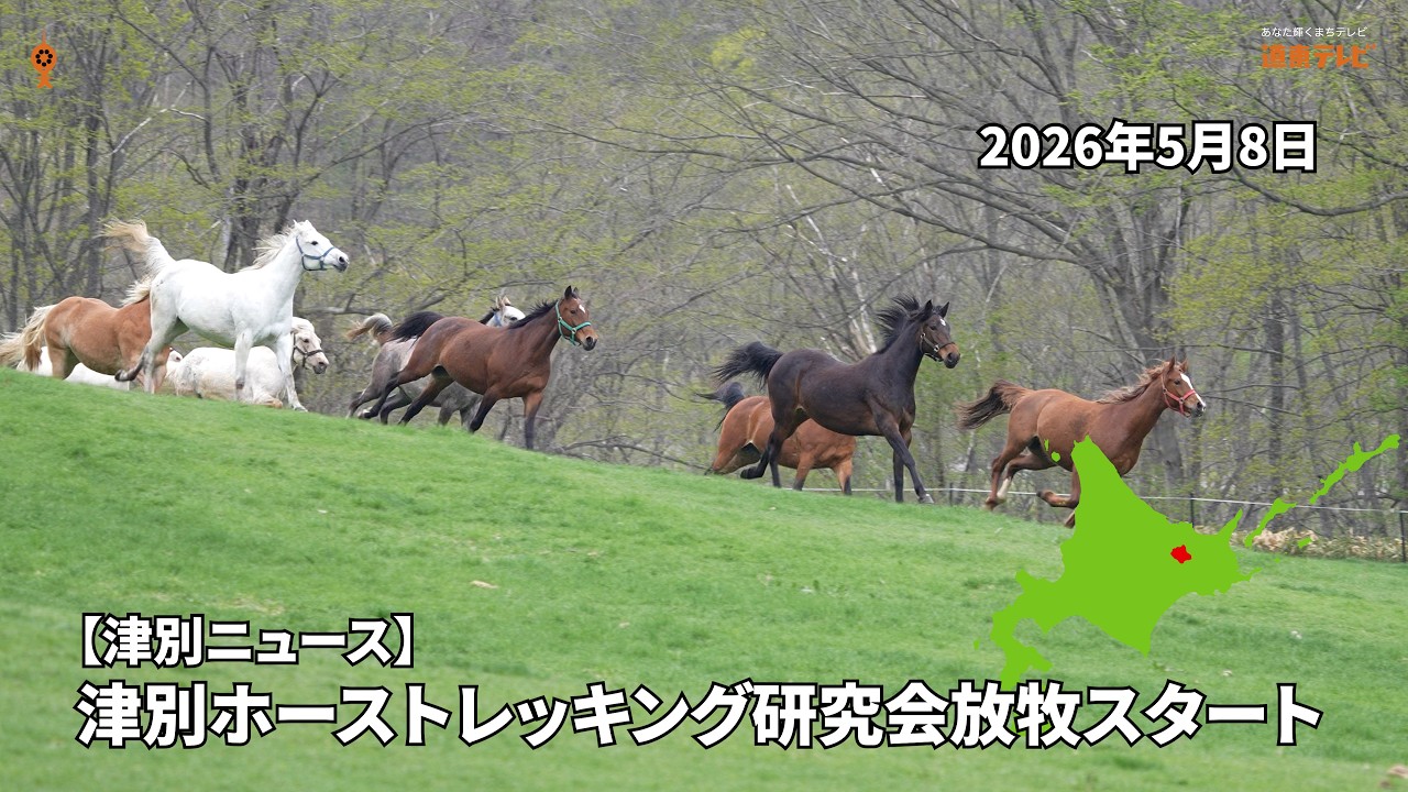 津別ニュース】津別ホーストレッキング研究会の放牧スタート2026 - YouTube