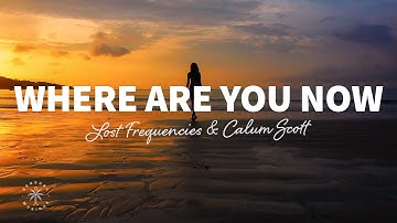 Lost Frequencies & Calum Scott - Where Are You Now (Lyrics)