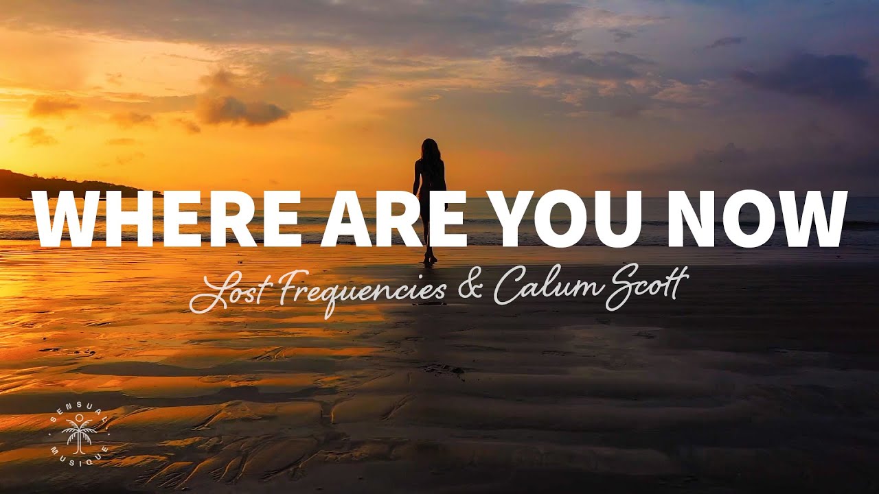 Lost Frequencies & Calum Scott - Where are you now lyric video
