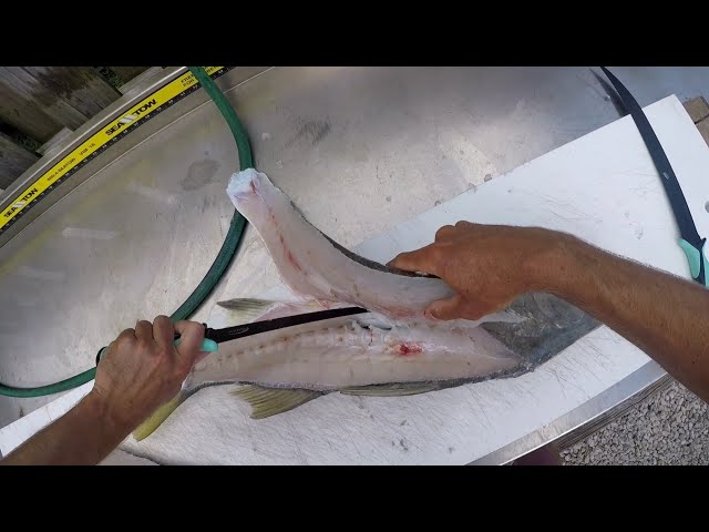 Angler: @coleschlabach getting it done in the gheenoe. #starrods #fishing  #snook