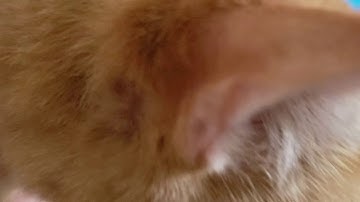 Clean Install windows 10 May 2019 update part 4 country, keyboard and wifi connectivity