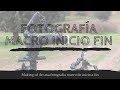 Fotografia macro fases de inicio a fin