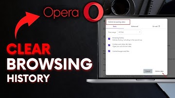 How to Clear Browsing History in Opera Browser 2025?