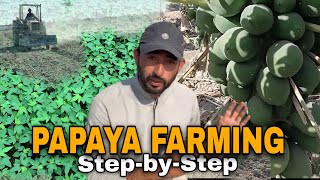 How to Grow Papaya? Complete Method from A to Z