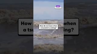 How do we know when a tsunami is coming?