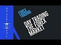 How to Day Trade in Forex For Beginners (Easy Step-By-Step ...