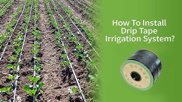 How to install drip tape irrigation system (Connect drip tape to main pipe)