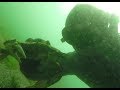 HackVenture Life Vlog 3- Freediving for Crab in the Puget Sound