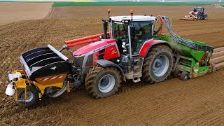 plantation de pomme de terre avec deux MF 8S