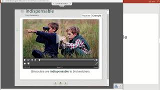 Information U1W1 Vocabulary News