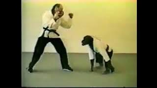 Karate Monkey [SimplyAbuDhabi.com].mp4