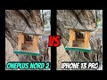 А ВДРУГ? Oneplus Nord 2 vs IPhone 13 Pro | Тест камер