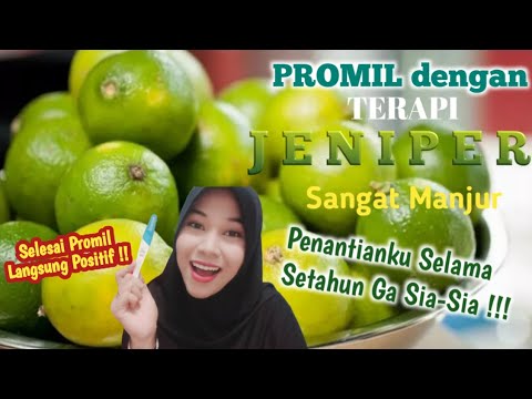 Terapi Jeniper Untuk Promil Ala Mba Dewi Yull Jeruknipisperas Youtube