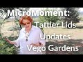 MicroMoment: Tattler Lids, Updates, Vego Gardens