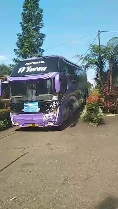 Bus Basuri Lily Trans #teloletbasuri #bus #basuri #basurimengular