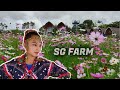 The New SG FARM 2021 | SOX is NEXT