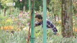 Video of the day | Museum of Impressionism in Giverny screenshot 2