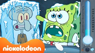 سبونج بوب | أقصى حالات الطقس تطرفًا في بيكيني بوتوم على الإطلاق | Nickelodeon Arabia