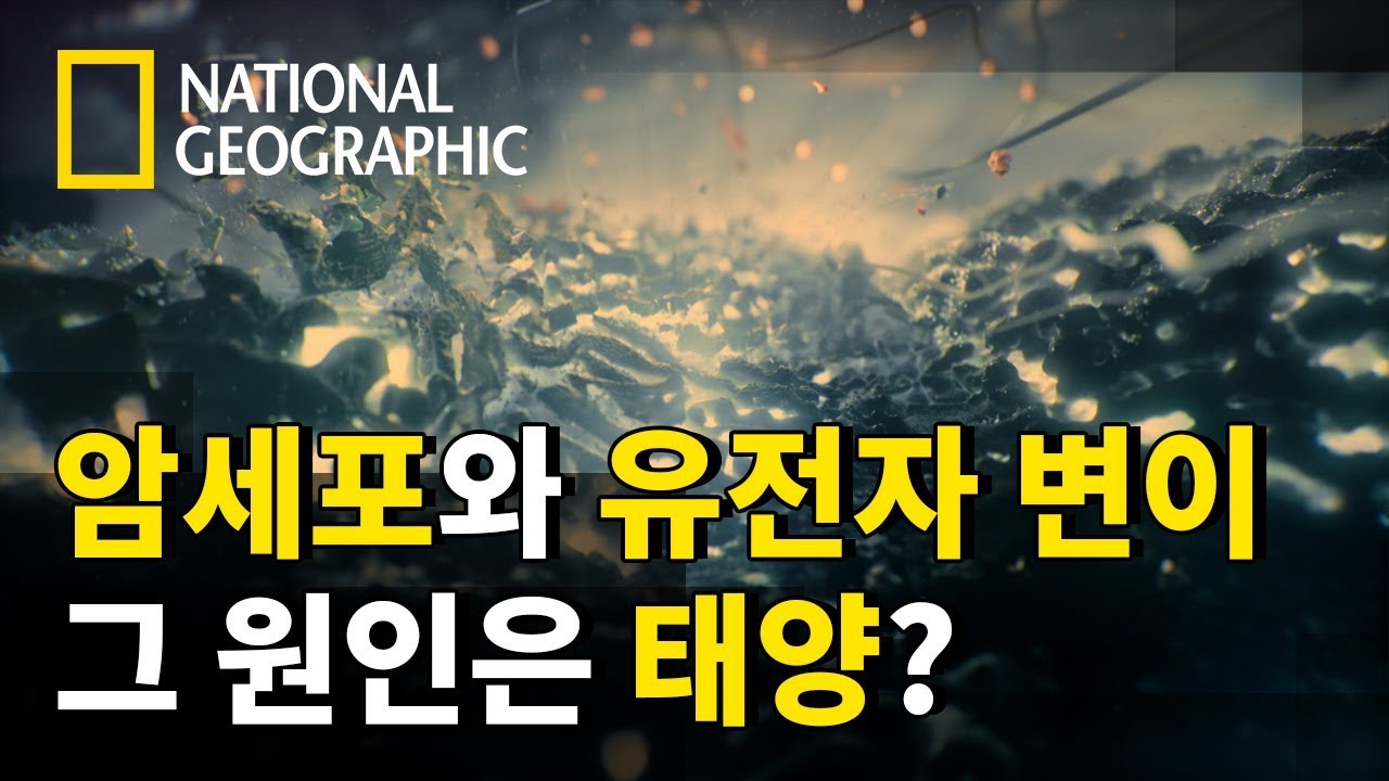 지구를 향한 태양의 무제한 공격 '자외선'