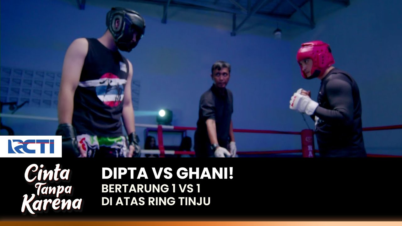 DIPTA VS GHANI! Selesaikan Perseteruan Di Ring Tinju | CINTA TANPA KARENA | EPS 360-361 (5/5)
