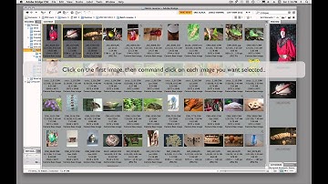 Beginner: Batch Rename | Adobe Bridge | Eric Lindley