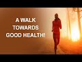 What Happens To Your Body When You Walk Every Day!